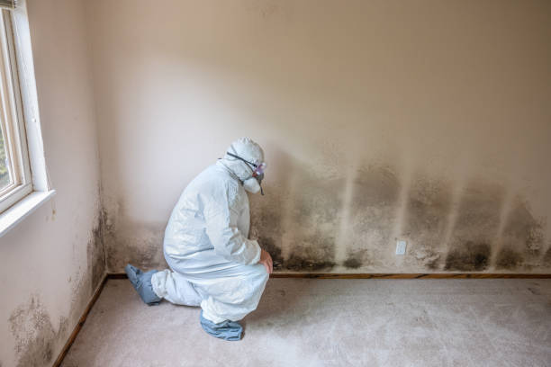 Best Mold Testing  in Severn, MD